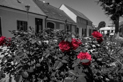 mbs_liebenwalde_-1328