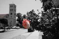 mbs_liebenwalde_-1347