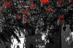 mbs_liebenwalde_-13661