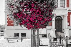 mbs_liebenwalde_-1375