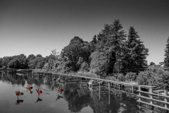 mbs_liebenwalde_-1401